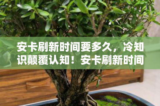 安卡刷新时间要多久，冷知识颠覆认知！安卡刷新时间竟藏着目瞪口呆的十年谎言