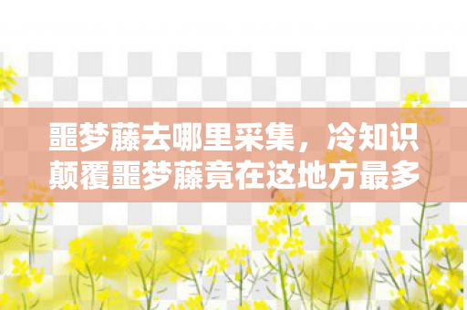 噩梦藤去哪里采集，冷知识颠覆噩梦藤竟在这地方最多？真相让人目瞪口呆！