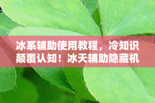 冰系辅助使用教程，冷知识颠覆认知！冰天辅助隐藏机制曝光，玩家目瞪口呆！