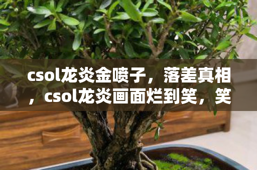 csol龙炎金喷子，落差真相，csol龙炎画面烂到笑，笑着笑着，我却哭了……
