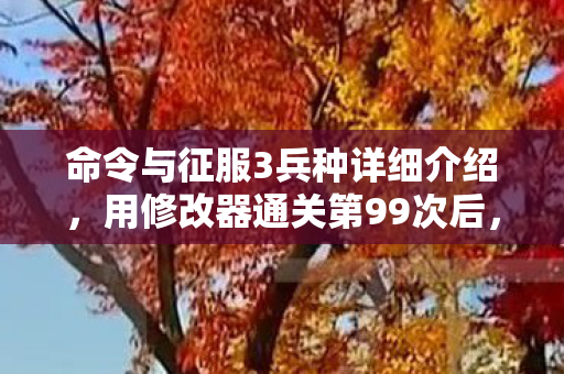 命令与征服3兵种详细介绍,用修改器通关第99次后,我砸碎了键盘——那些被数据吞噬的深夜狂欢 命令与征服3兵种详细介绍,用修改器通关第99次后,我砸碎了键盘——那些被数据吞噬的深夜狂欢