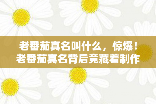 老番茄真名叫什么,惊爆!老番茄真名背后竟藏着制作组7大未解之谜?真相令人窒息! 老番茄真名叫什么,惊爆!老番茄真名背后竟藏着制作组7大未解之谜?真相令人窒息!