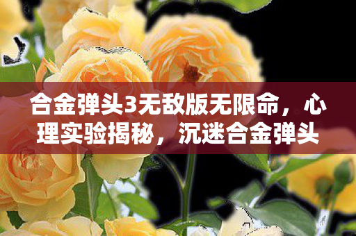 合金弹头3无敌版无限命,心理实验揭秘,沉迷合金弹头3无敌版的细思极恐真相 合金弹头3无敌版无限命,心理实验揭秘,沉迷合金弹头3无敌版的细思极恐真相