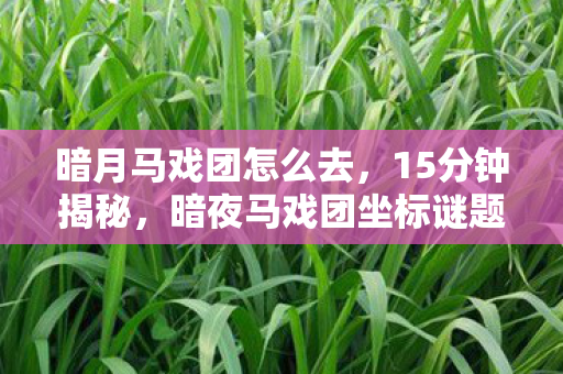 暗月马戏团怎么去,15分钟揭秘,暗夜马戏团坐标谜题下,多少玩家泪目于2027年的死亡时间线 暗月马戏团怎么去,15分钟揭秘,暗夜马戏团坐标谜题下,多少玩家泪目于2027年的死亡时间线