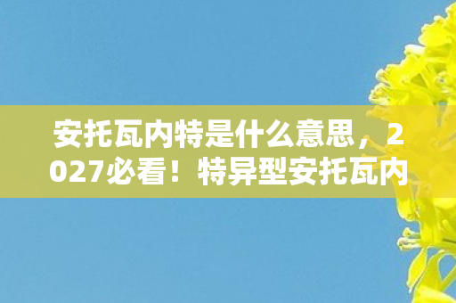 安托瓦内特是什么意思，2027必看！特异型安托瓦内特实测，99%玩家错过的3大隐藏机制