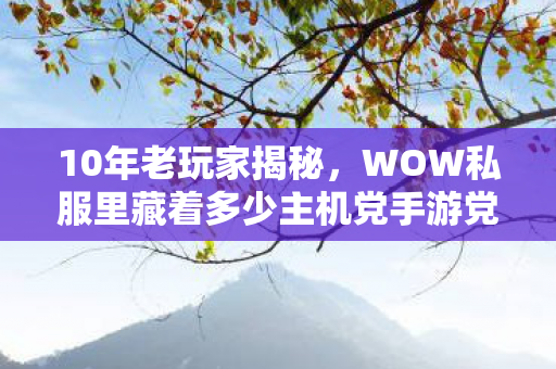 10年老玩家揭秘,WOW私服里藏着多少主机党手游党的血泪史? 10年老玩家揭秘,WOW私服里藏着多少主机党手游党的血泪史?