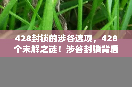 428封锁的涉谷选项,428个未解之谜!涉谷封锁背后,藏着多少玩家未知的震撼? 428封锁的涉谷选项,428个未解之谜!涉谷封锁背后,藏着多少玩家未知的震撼?