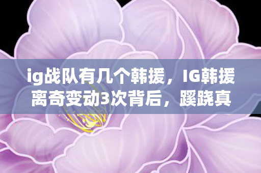 ig战队有几个韩援,IG韩援离奇变动3次背后,蹊跷真相让粉丝后背发凉! ig战队有几个韩援,IG韩援离奇变动3次背后,蹊跷真相让粉丝后背发凉!