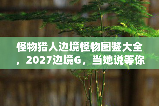 怪物猎人边境怪物图鉴大全,2027边境G,当她说等你时,我竟忘了现实里没人等我回家 怪物猎人边境怪物图鉴大全,2027边境G,当她说等你时,我竟忘了现实里没人等我回家