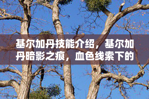 基尔加丹技能介绍,基尔加丹暗影之痕,血色线索下的悬案,毛骨悚然真相待揭 基尔加丹技能介绍,基尔加丹暗影之痕,血色线索下的悬案,毛骨悚然真相待揭
