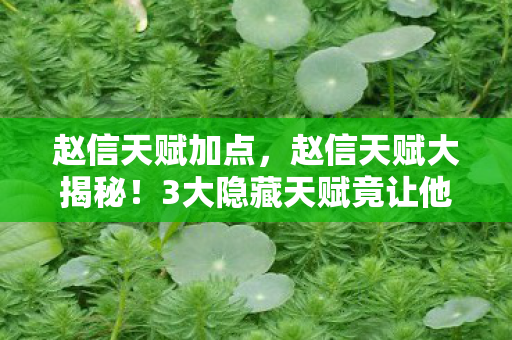 赵信天赋加点,赵信天赋大揭秘!3大隐藏天赋竟让他胜率飙升90%?太震撼! 赵信天赋加点,赵信天赋大揭秘!3大隐藏天赋竟让他胜率飙升90%?太震撼!