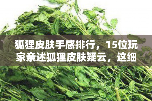 狐狸皮肤手感排行,15位玩家亲述狐狸皮肤疑云,这细节谁顶得住?采访者当场笑崩 狐狸皮肤手感排行,15位玩家亲述狐狸皮肤疑云,这细节谁顶得住?采访者当场笑崩