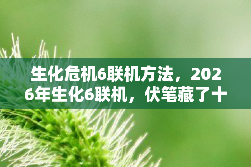 生化危机6联机方法,2026年生化6联机,伏笔藏了十年,如今只剩鼻子一酸的回忆 生化危机6联机方法,2026年生化6联机,伏笔藏了十年,如今只剩鼻子一酸的回忆