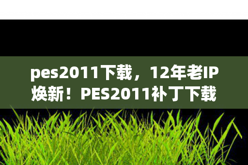pes2011下载,12年老IP焕新!PES2011补丁下载量暴涨300%,情怀经济竟成暴利新蓝海? pes2011下载,12年老IP焕新!PES2011补丁下载量暴涨300%,情怀经济竟成暴利新蓝海?