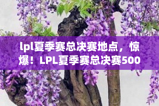 lpl夏季赛总决赛地点,惊爆!LPL夏季赛总决赛500万奖金背后,竟藏着让选手吓一跳的隐情! lpl夏季赛总决赛地点,惊爆!LPL夏季赛总决赛500万奖金背后,竟藏着让选手吓一跳的隐情!