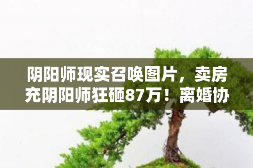 阴阳师现实召唤图片，卖房充阴阳师狂砸87万！离婚协议藏惊天隐情，妻子举动吓我一跳！
