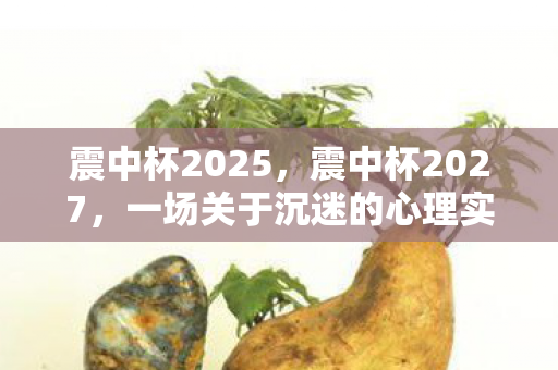 震中杯2025,震中杯2027,一场关于沉迷的心理实验,细思极恐的自我麻醉 震中杯2025,震中杯2027,一场关于沉迷的心理实验,细思极恐的自我麻醉