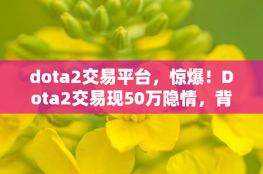 dota2交易平台，惊爆！Dota2交易现50万隐情，背后真相让人吓一跳！