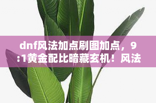 dnf风法加点刷图加点,9:1黄金配比暗藏玄机!风法玩家,这加点让我笑着进图,哭着删号 dnf风法加点刷图加点,9:1黄金配比暗藏玄机!风法玩家,这加点让我笑着进图,哭着删号