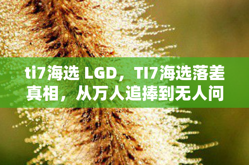 ti7海选 LGD，TI7海选落差真相，从万人追捧到无人问津，笑着笑着就哭了