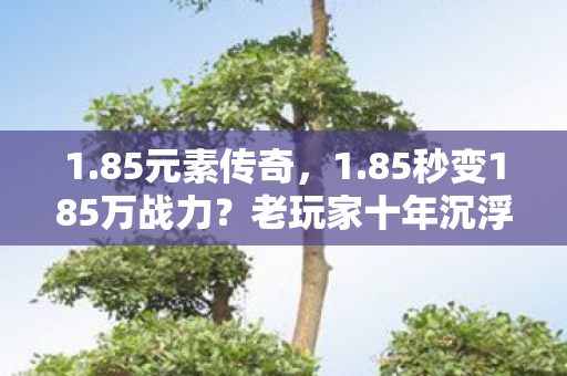 1.85元素传奇,1.85秒变185万战力?老玩家十年沉浮揭秘这数字背后的狂潮! 1.85元素传奇,1.85秒变185万战力?老玩家十年沉浮揭秘这数字背后的狂潮!