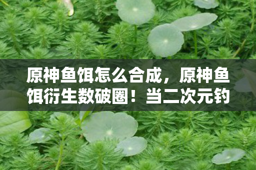 原神鱼饵怎么合成,原神鱼饵衍生数破圈!当二次元钓起三次元钱包的意想不到结局 原神鱼饵怎么合成,原神鱼饵衍生数破圈!当二次元钓起三次元钱包的意想不到结局
