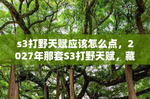 s3打野天赋应该怎么点,2027年那套S3打野天赋,藏着没说出口的约定,如今想起鼻子一酸 s3打野天赋应该怎么点,2027年那套S3打野天赋,藏着没说出口的约定,如今想起鼻子一酸