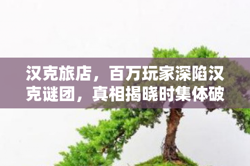 汉克旅店,百万玩家深陷汉克谜团,真相揭晓时集体破防了! 汉克旅店,百万玩家深陷汉克谜团,真相揭晓时集体破防了!