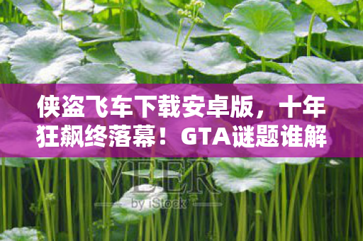侠盗飞车下载安卓版,十年狂飙终落幕!GTA谜题谁解?泪目见证服务器熄灯时刻 侠盗飞车下载安卓版,十年狂飙终落幕!GTA谜题谁解?泪目见证服务器熄灯时刻