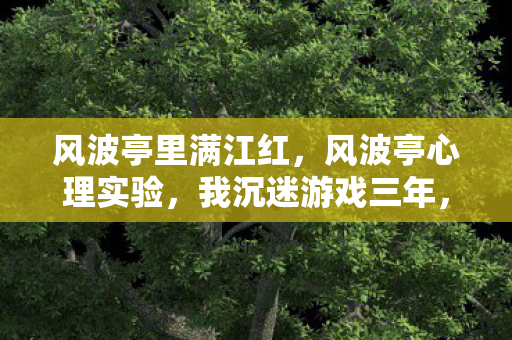 风波亭里满江红,风波亭心理实验,我沉迷游戏三年,细思极恐的自我囚禁真相 风波亭里满江红,风波亭心理实验,我沉迷游戏三年,细思极恐的自我囚禁真相