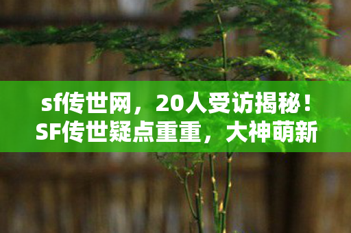 sf传世网,20人受访揭秘!SF传世疑点重重,大神萌新齐喊绷不住 sf传世网,20人受访揭秘!SF传世疑点重重,大神萌新齐喊绷不住