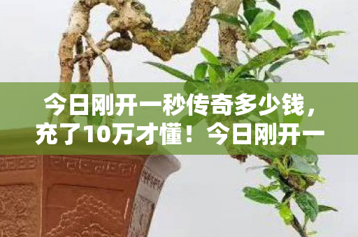 今日刚开一秒传奇多少钱,充了10万才懂!今日刚开一秒传奇这良心坑,吓得我钱包都飞了! 今日刚开一秒传奇多少钱,充了10万才懂!今日刚开一秒传奇这良心坑,吓得我钱包都飞了!
