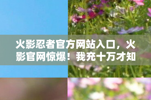 火影忍者官方网站入口,火影官网惊爆!我充十万才知是韭菜,这隐情让人吓一跳! 火影忍者官方网站入口,火影官网惊爆!我充十万才知是韭菜,这隐情让人吓一跳!