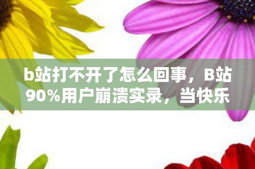 b站打不开了怎么回事,B站90%用户崩溃实录,当快乐源泉突然断流,这届年轻人何去何从? b站打不开了怎么回事,B站90%用户崩溃实录,当快乐源泉突然断流,这届年轻人何去何从?
