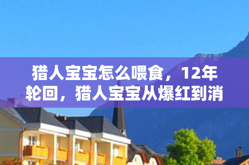 猎人宝宝怎么喂食，12年轮回，猎人宝宝从爆红到消亡的谜题，为何让百万玩家泪目？