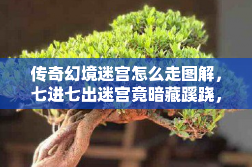 传奇幻境迷宫怎么走图解，七进七出迷宫竟暗藏蹊跷，真相揭晓后背发凉！