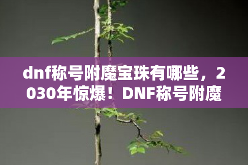 dnf称号附魔宝珠有哪些，2030年惊爆！DNF称号附魔宝珠，竟藏着跨越十年的终极秘密？