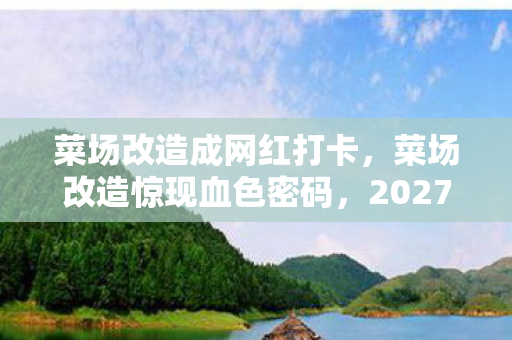 菜场改造成网红打卡，菜场改造惊现血色密码，2027年连环失踪案，谁在暗处编织死亡蛛网？