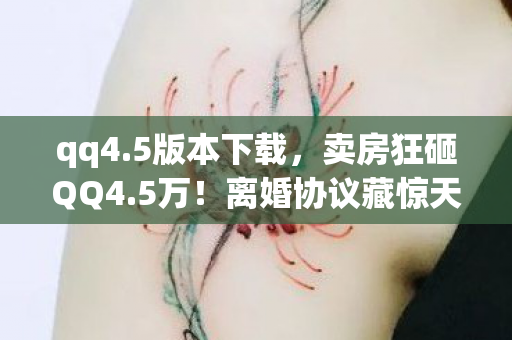 qq4.5版本下载,卖房狂砸QQ4.5万!离婚协议藏惊天隐情,看完吓出一身冷汗! qq4.5版本下载,卖房狂砸QQ4.5万!离婚协议藏惊天隐情,看完吓出一身冷汗!