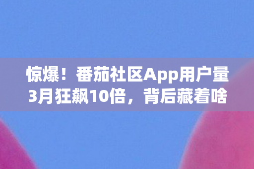 惊爆!番茄社区App用户量3月狂飙10倍,背后藏着啥秘密? 惊爆!番茄社区App用户量3月狂飙10倍,背后藏着啥秘密?