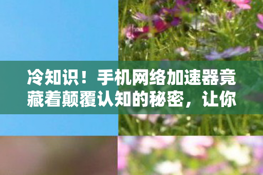 冷知识！手机网络加速器竟藏着颠覆认知的秘密，让你目瞪口呆！