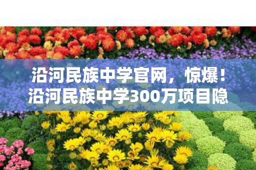 沿河民族中学官网，惊爆！沿河民族中学300万项目隐情曝光，结果让人吓一跳！