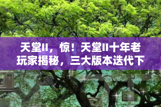 天堂II,惊!天堂II十年老玩家揭秘,三大版本迭代下隐藏的终极真相 天堂II,惊!天堂II十年老玩家揭秘,三大版本迭代下隐藏的终极真相