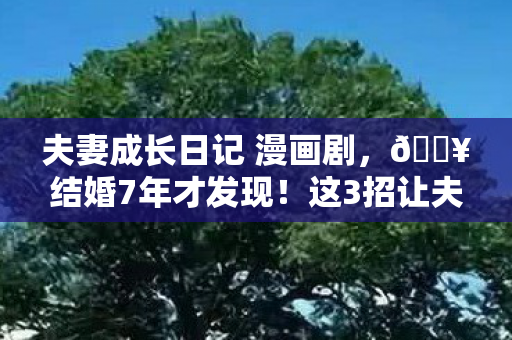夫妻成长日记 漫画剧,🔥结婚7年才发现!这3招让夫妻感情升温200%的漫画秘籍 夫妻成长日记 漫画剧,🔥结婚7年才发现!这3招让夫妻感情升温200%的漫画秘籍