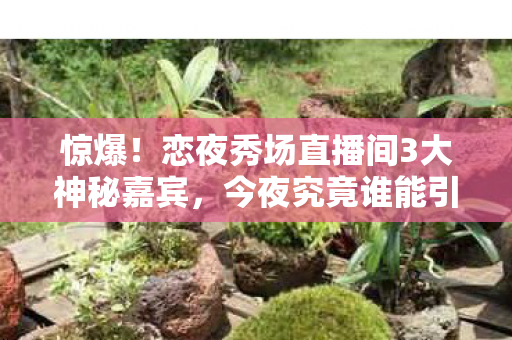 惊爆!恋夜秀场直播间3大神秘嘉宾,今夜究竟谁能引爆全场? 惊爆!恋夜秀场直播间3大神秘嘉宾,今夜究竟谁能引爆全场?