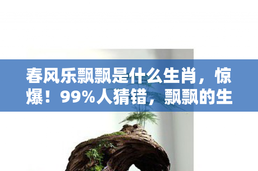 春风乐飘飘是什么生肖，惊爆！99%人猜错，飘飘的生肖竟藏着这等玄机？