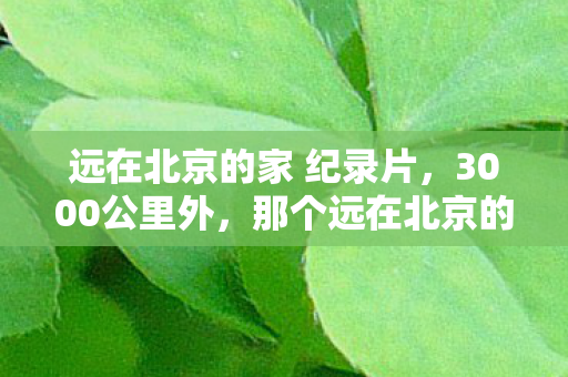 远在北京的家 纪录片，3000公里外，那个远在北京的家藏着多少不为人知的秘密？