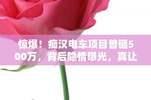 惊爆!痴汉电车项目曾砸500万,背后隐情曝光,真让人吓一跳! 惊爆!痴汉电车项目曾砸500万,背后隐情曝光,真让人吓一跳!