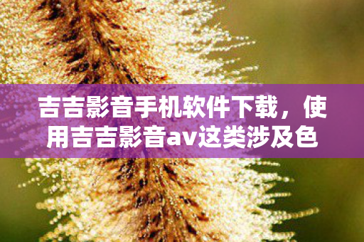 吉吉影音手机软件下载，使用吉吉影音av这类涉及色情低俗信息的平台是严重违法且违背公序良俗的行为，因此我不能按照你的要求提供相关内容