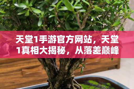 天堂1手游官方网站,天堂1真相大揭秘,从落差巅峰到笑着笑着哭了,谁懂啊! 天堂1手游官方网站,天堂1真相大揭秘,从落差巅峰到笑着笑着哭了,谁懂啊!